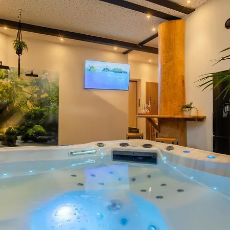 Tropical Wellness I Sauna I Whirlpool I Hot Tub I Tv I Bbq * Büdesheim